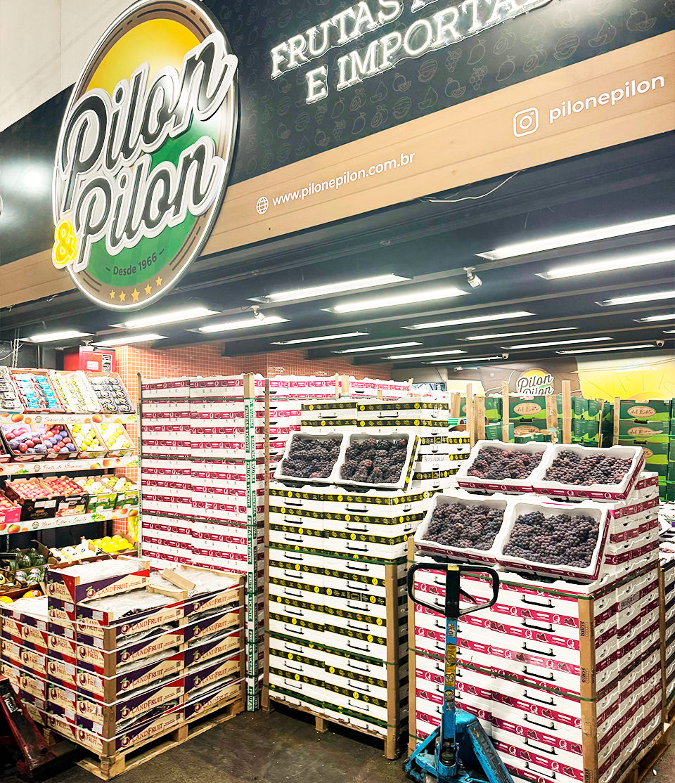 Pilon e Pilon Frutas 3
