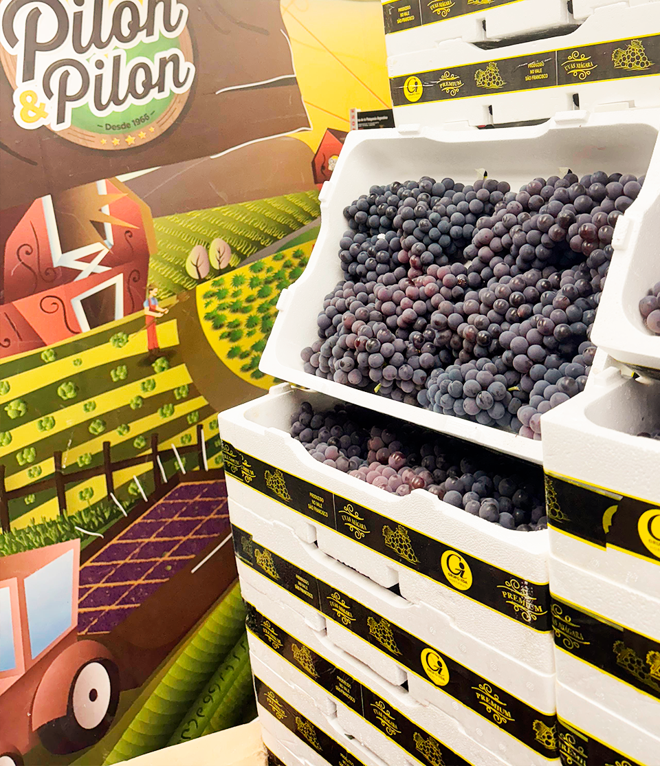 Pilon e Pilon Frutas 9