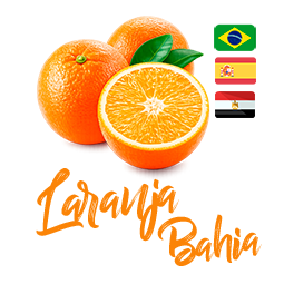 Laranja Bahia