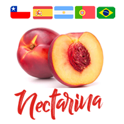 Nectarina