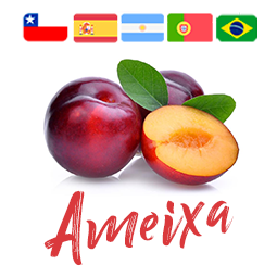 Ameixa