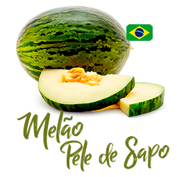 Melão Pele de Sapo