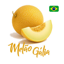 Melão Gália