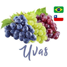 Uvas
